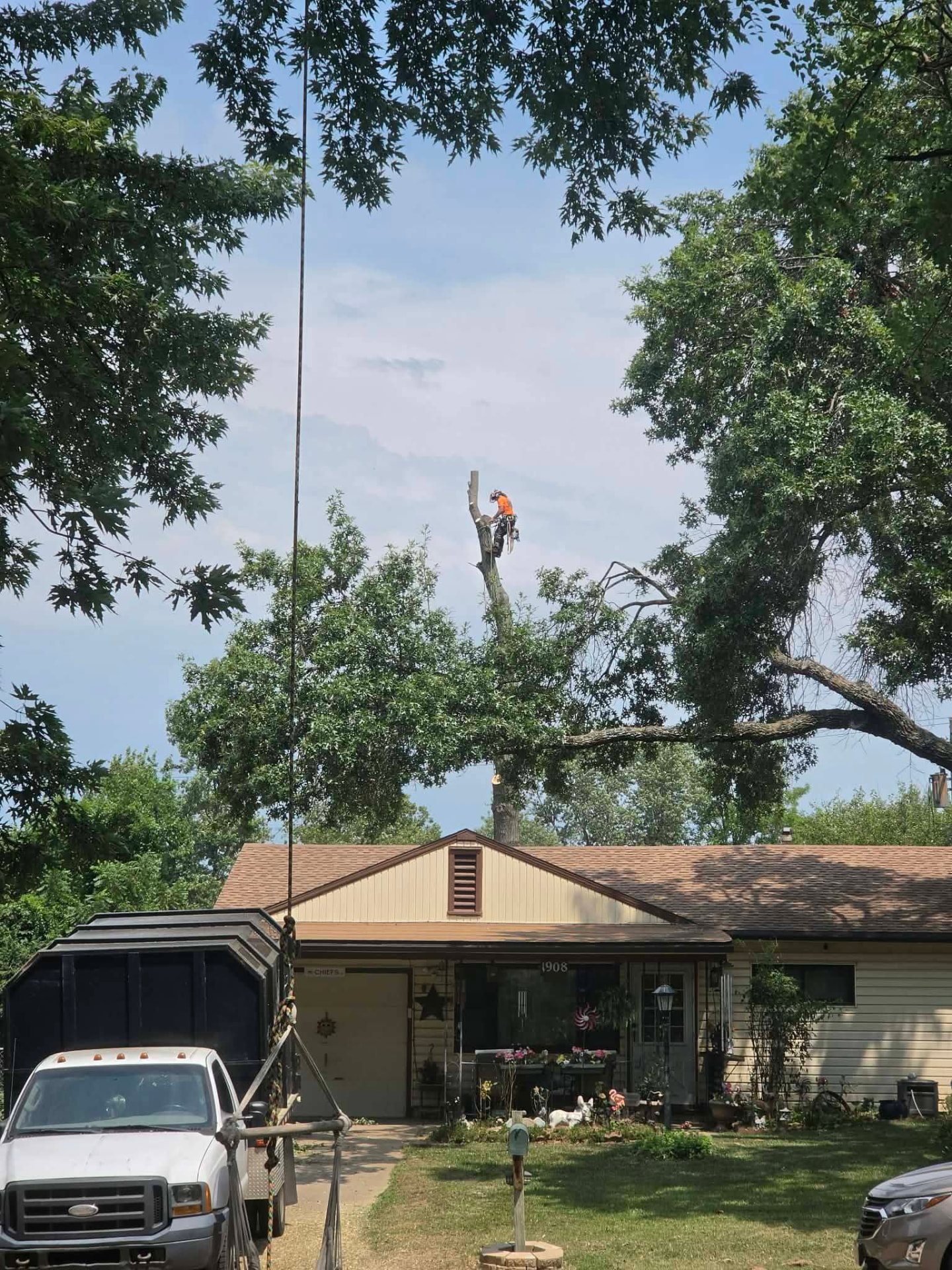 Sectional tree removal over a house Climber topping a tall trunk in sections above a house roof